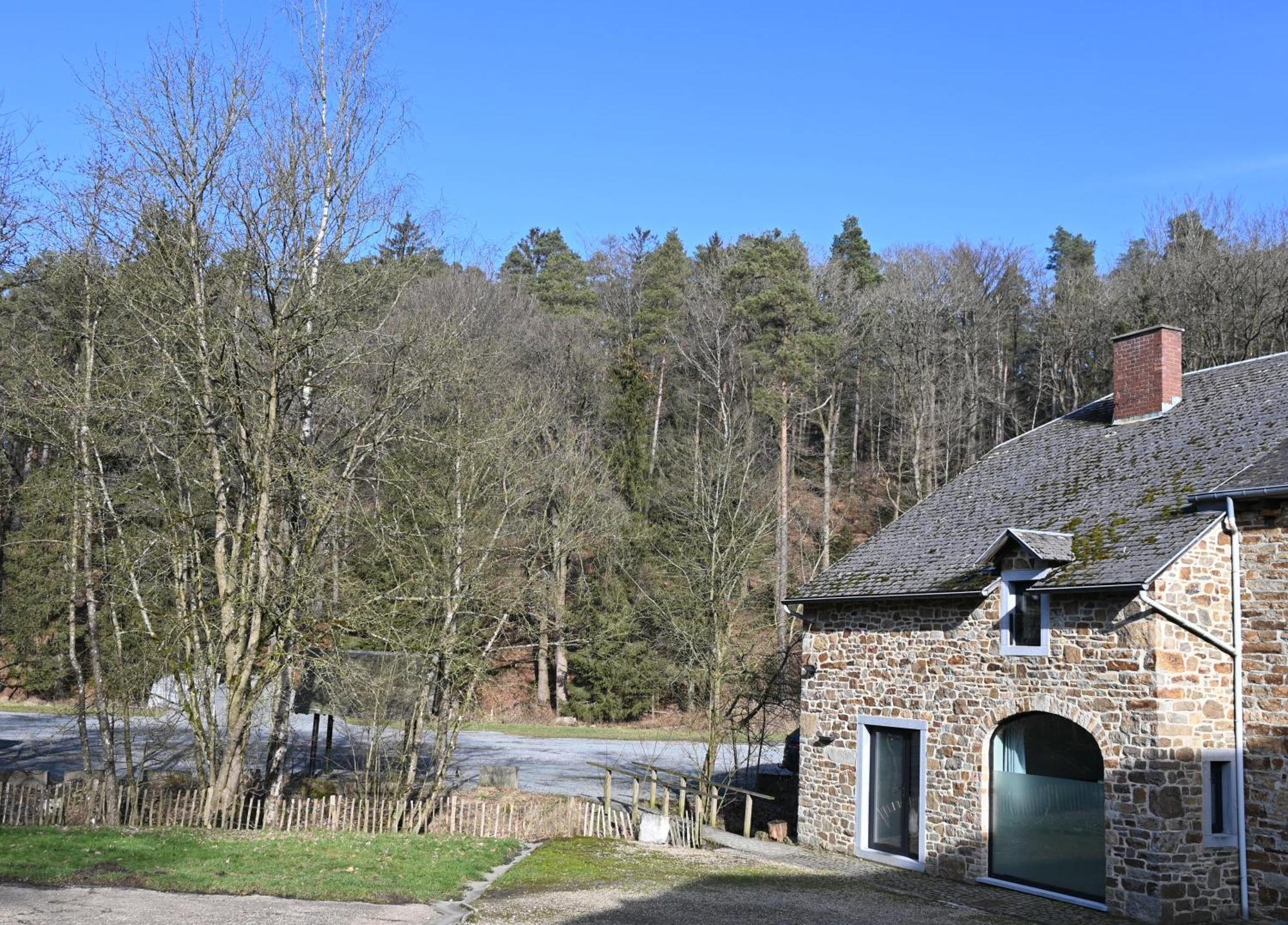 Le Moulin De Bosson - Ourasi Lejlighed Ferrières Eksteriør billede